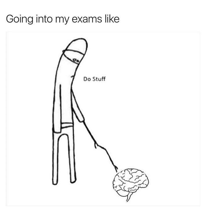 A figure in a beanie walking a brain on a leash labeled Do Stuff